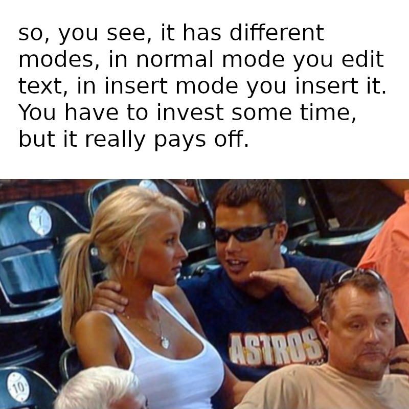 Vim Memes